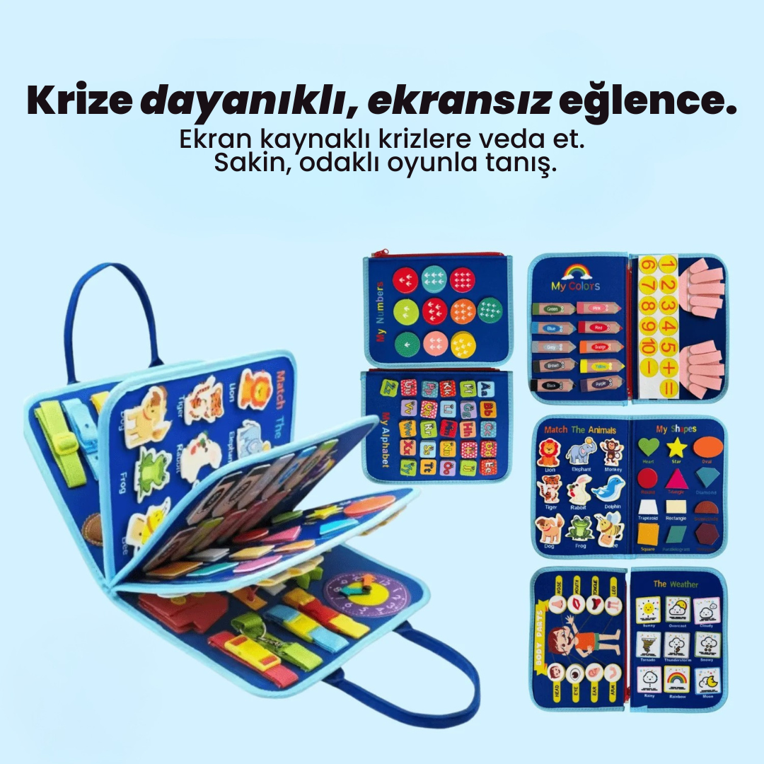 Montessori Aktivite Panosu